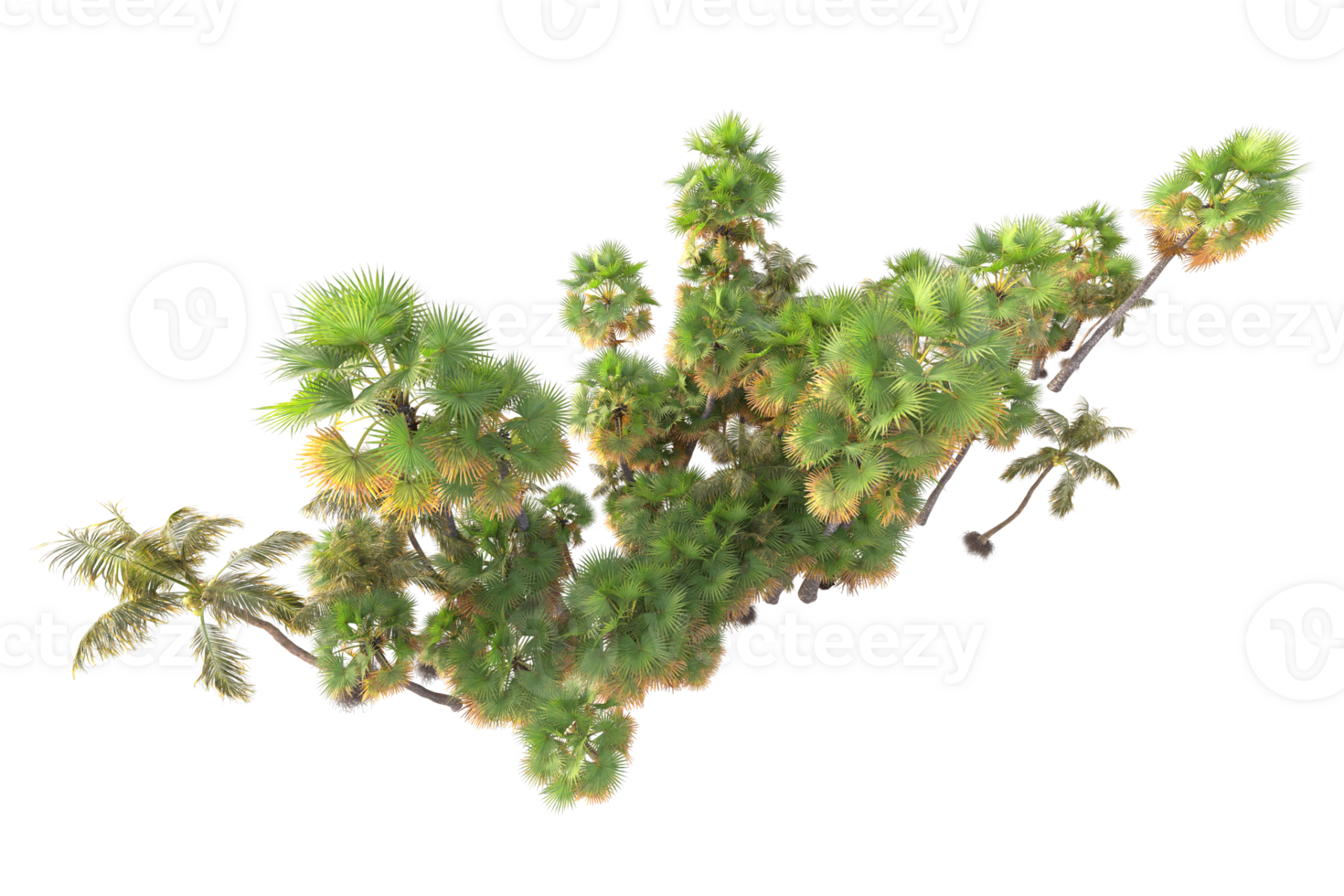Tropical forest isolated on transparent background. 3d rendering - illustration png