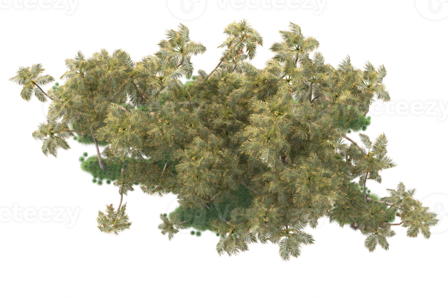 Tropical forest isolated on transparent background. 3d rendering - illustration png