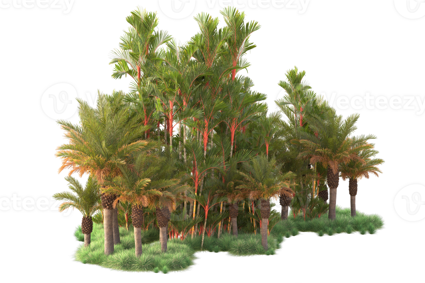 Tropical forest isolated on transparent background. 3d rendering - illustration png