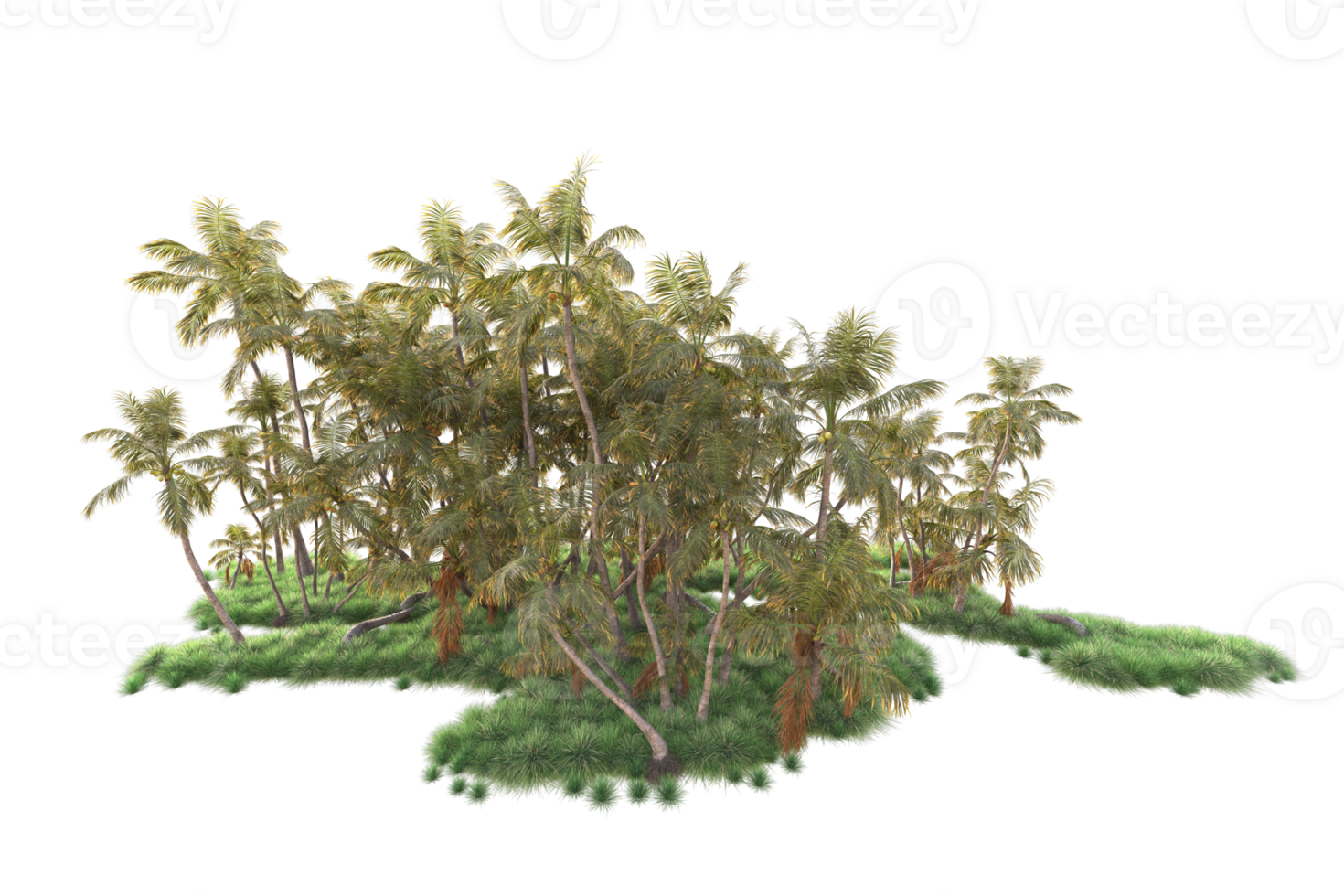 Tropical forest isolated on transparent background. 3d rendering - illustration png