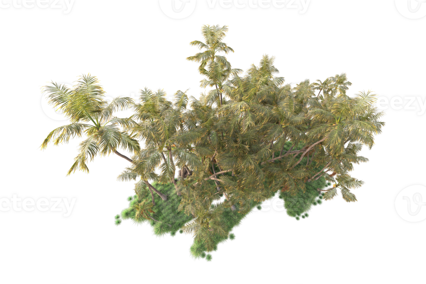 Tropical forest isolated on transparent background. 3d rendering - illustration png