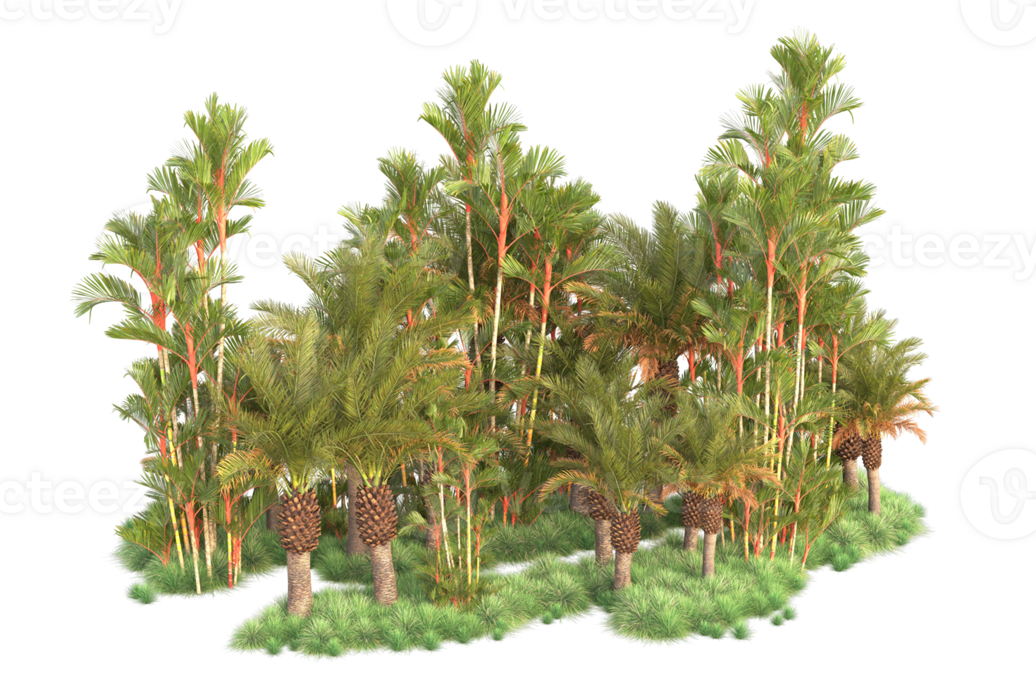 Tropical forest isolated on transparent background. 3d rendering - illustration png