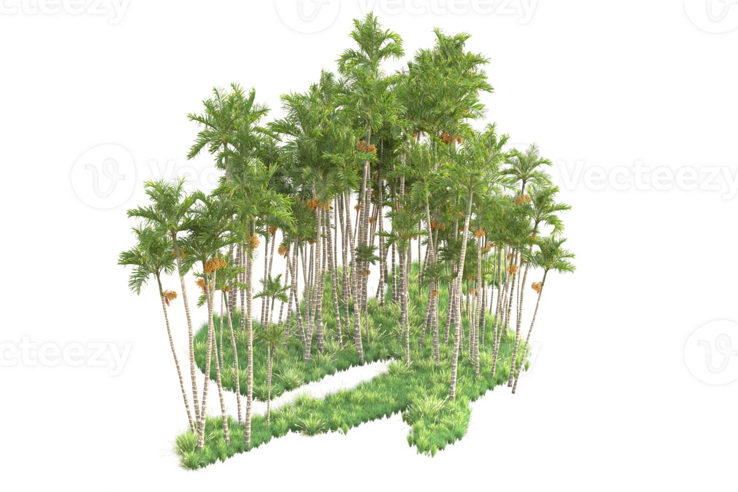 Tropical forest isolated on transparent background. 3d rendering - illustration png