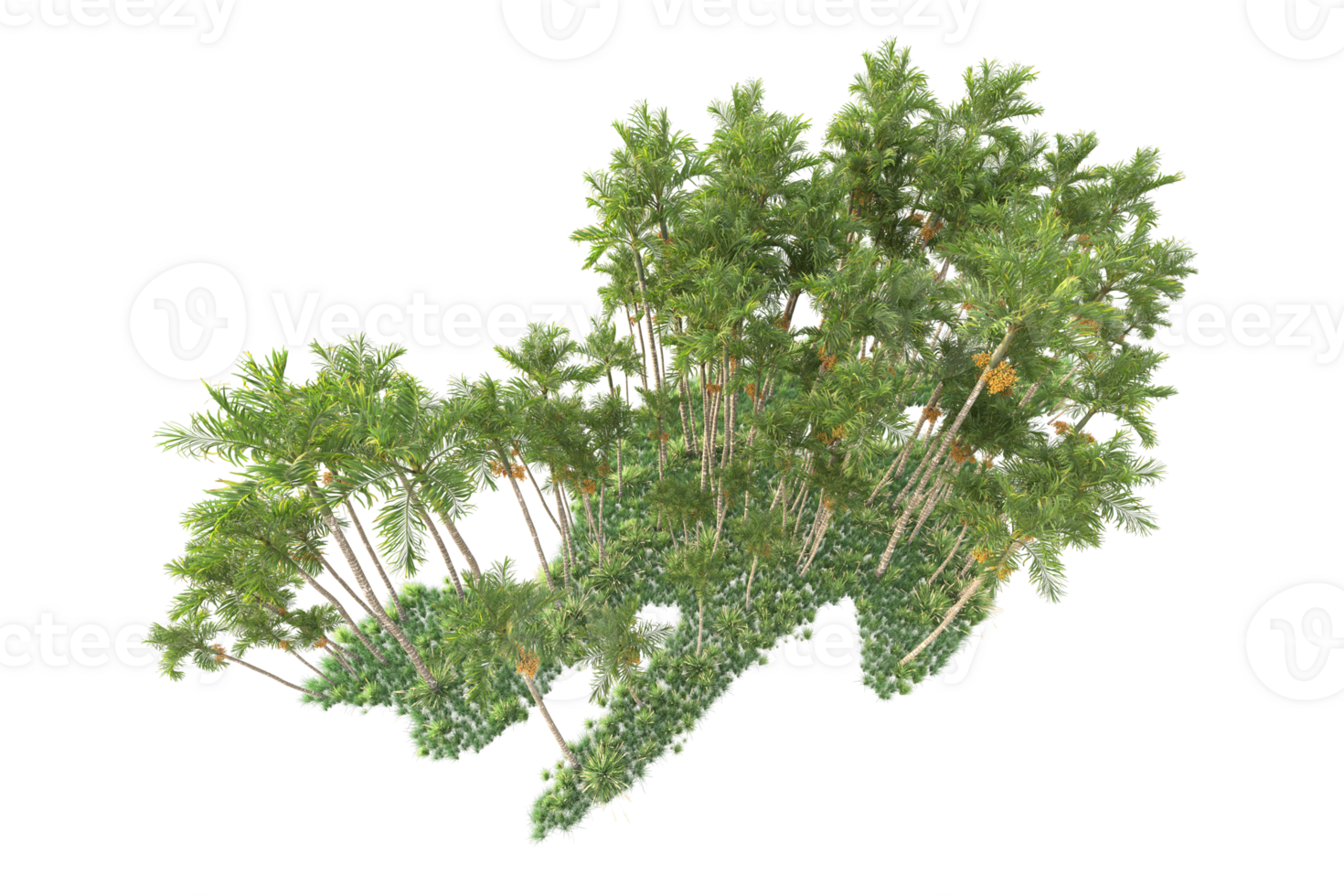 Tropical forest isolated on transparent background. 3d rendering - illustration png