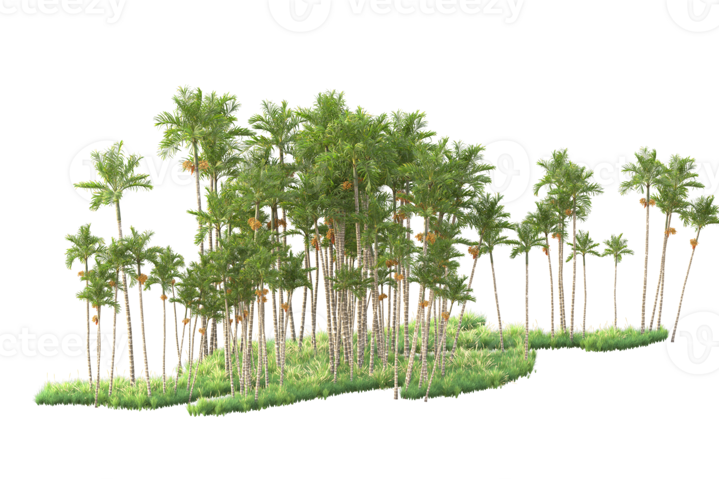 Tropical forest isolated on transparent background. 3d rendering - illustration png