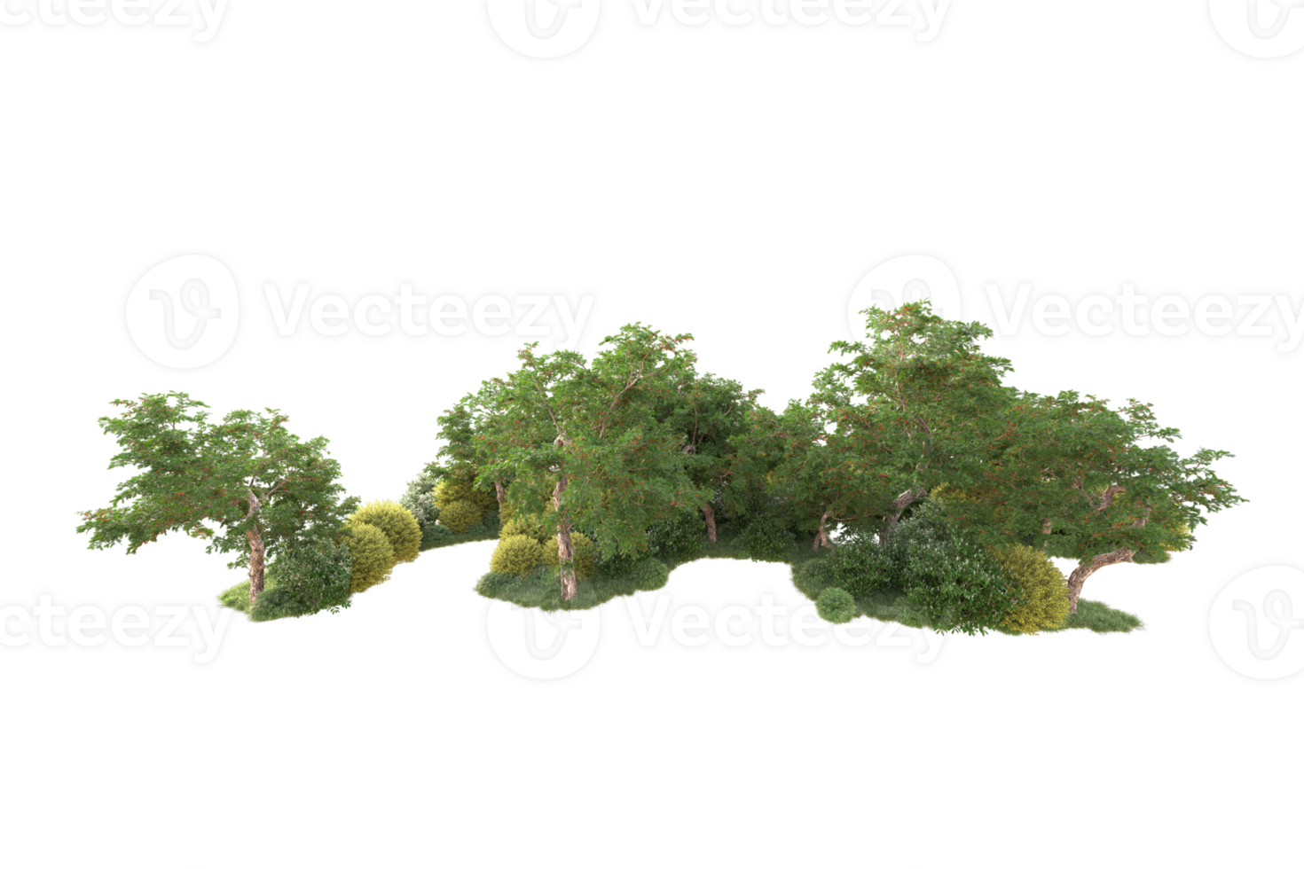 Tropical forest isolated on transparent background. 3d rendering - illustration png