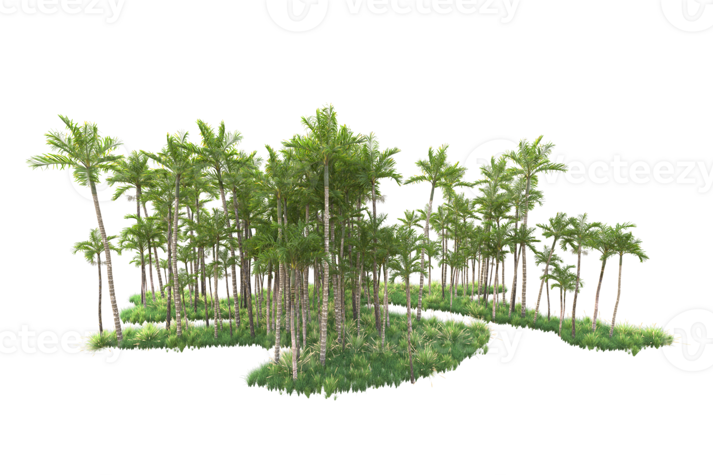 Tropical forest isolated on transparent background. 3d rendering - illustration png
