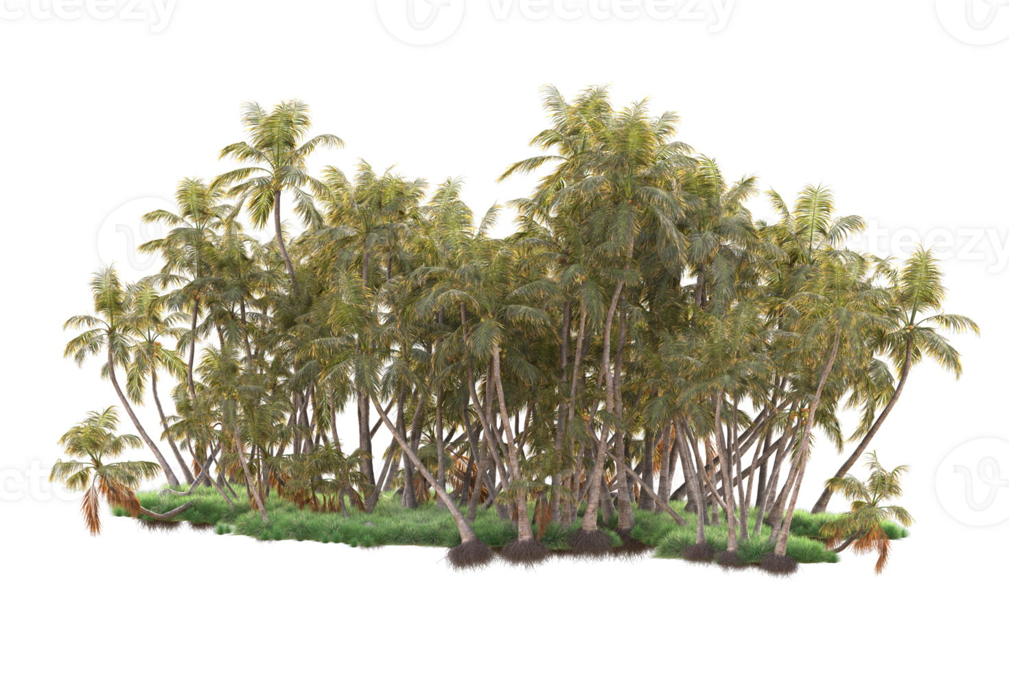 Tropical forest isolated on transparent background. 3d rendering - illustration png