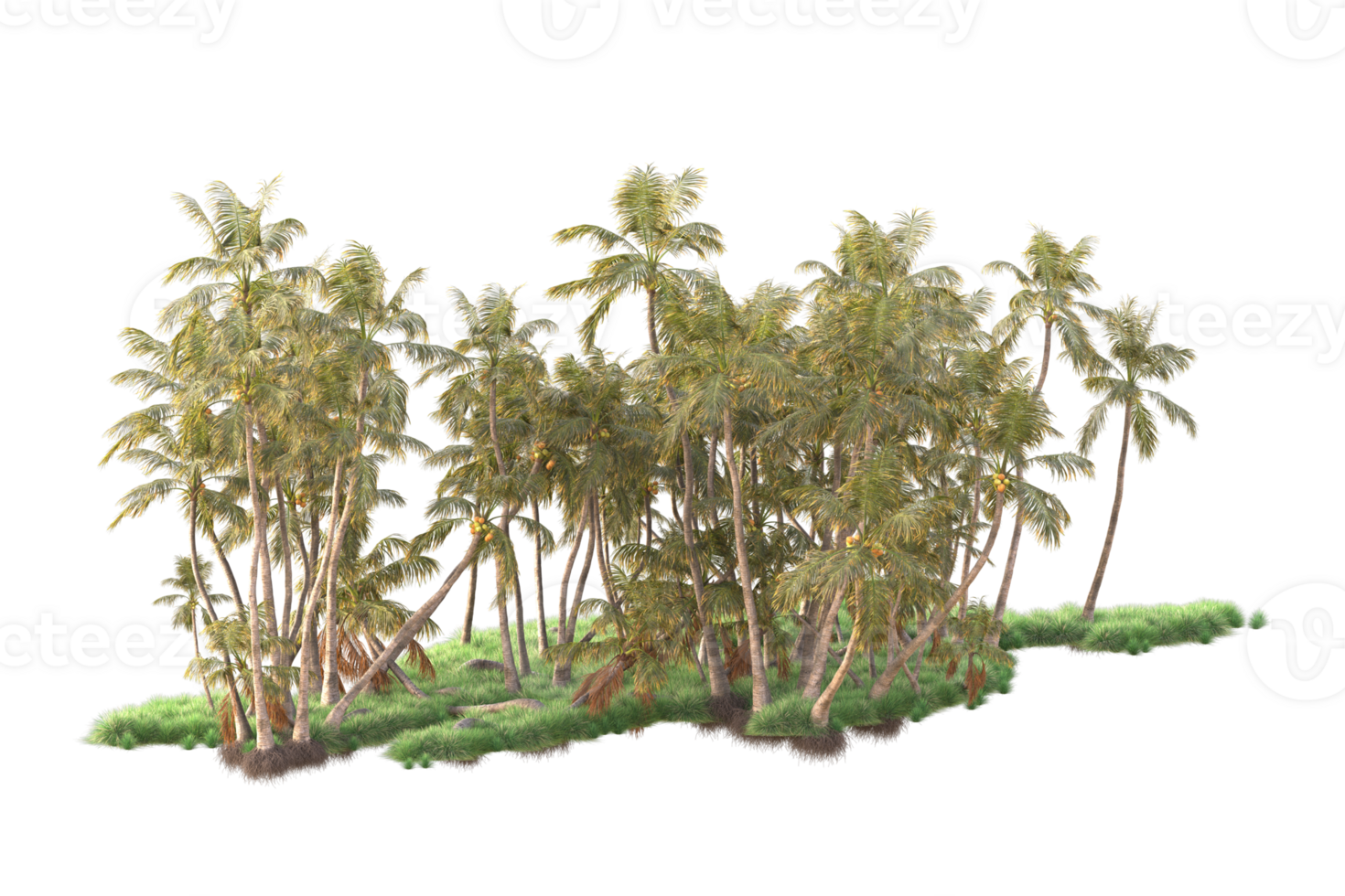 Tropical forest isolated on transparent background. 3d rendering - illustration png