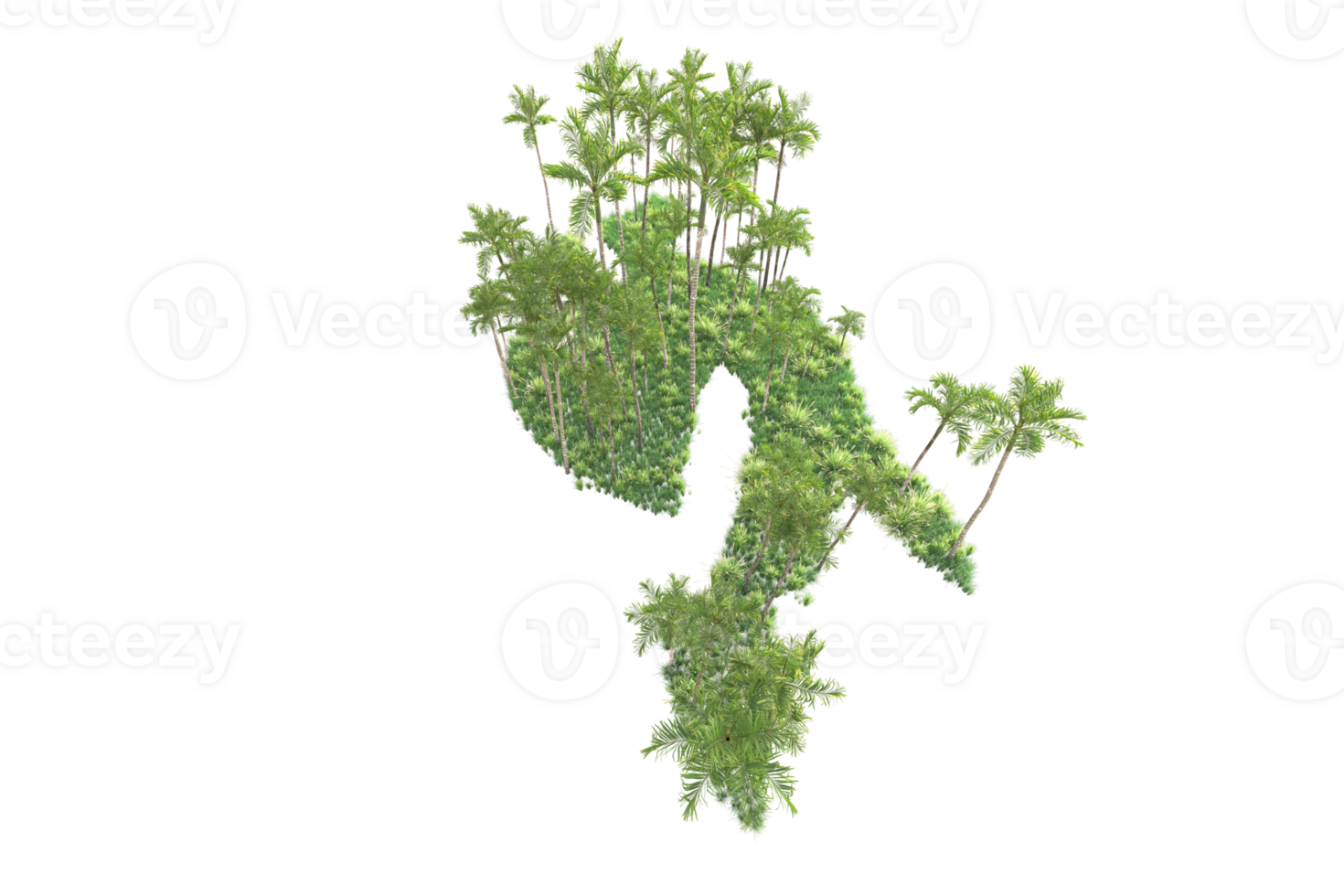 Tropical forest isolated on transparent background. 3d rendering - illustration png