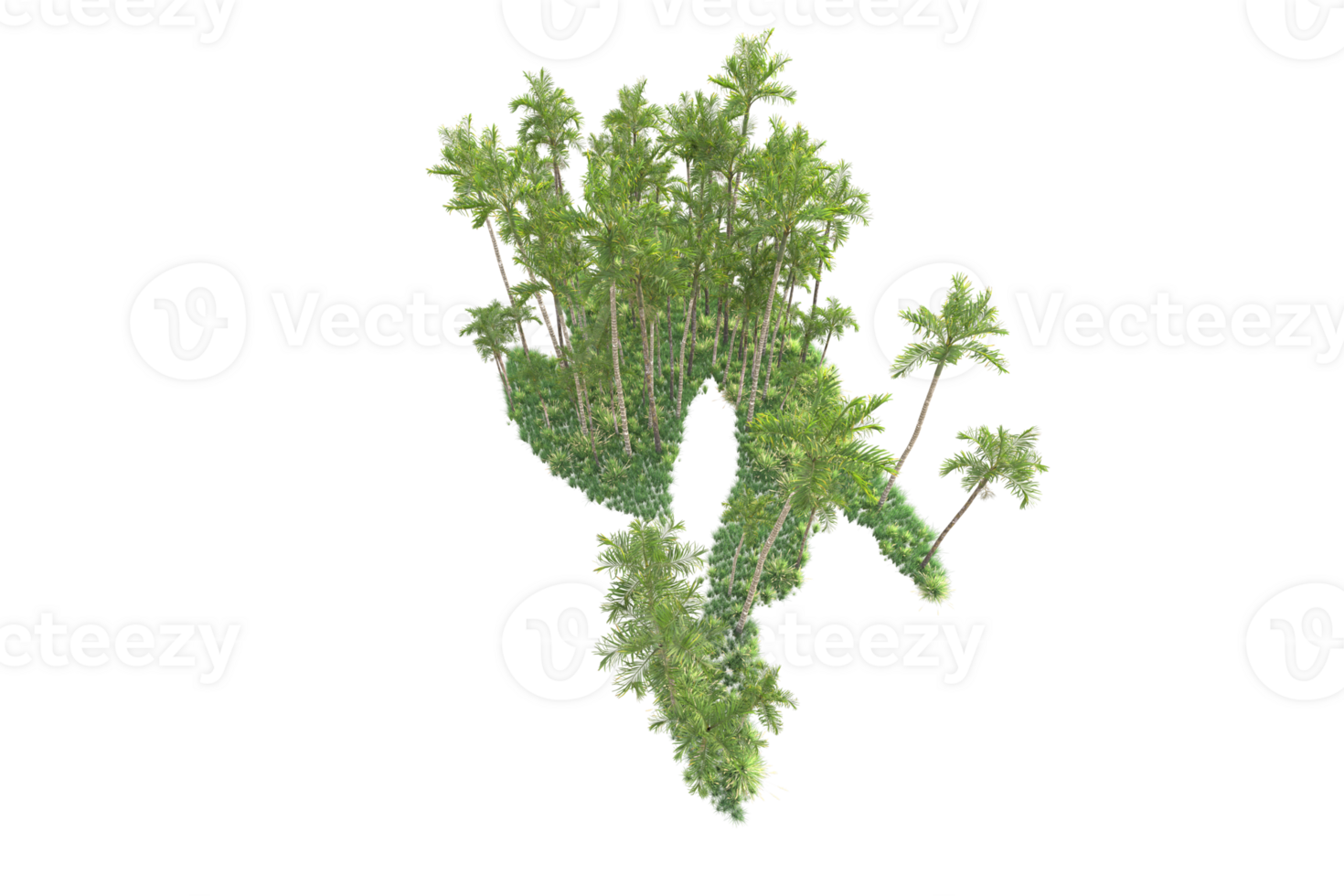 Tropical forest isolated on transparent background. 3d rendering - illustration png
