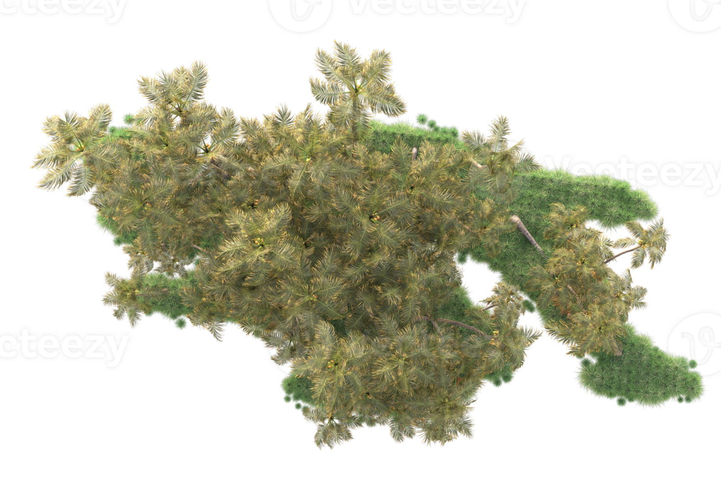 Tropical forest isolated on transparent background. 3d rendering - illustration png