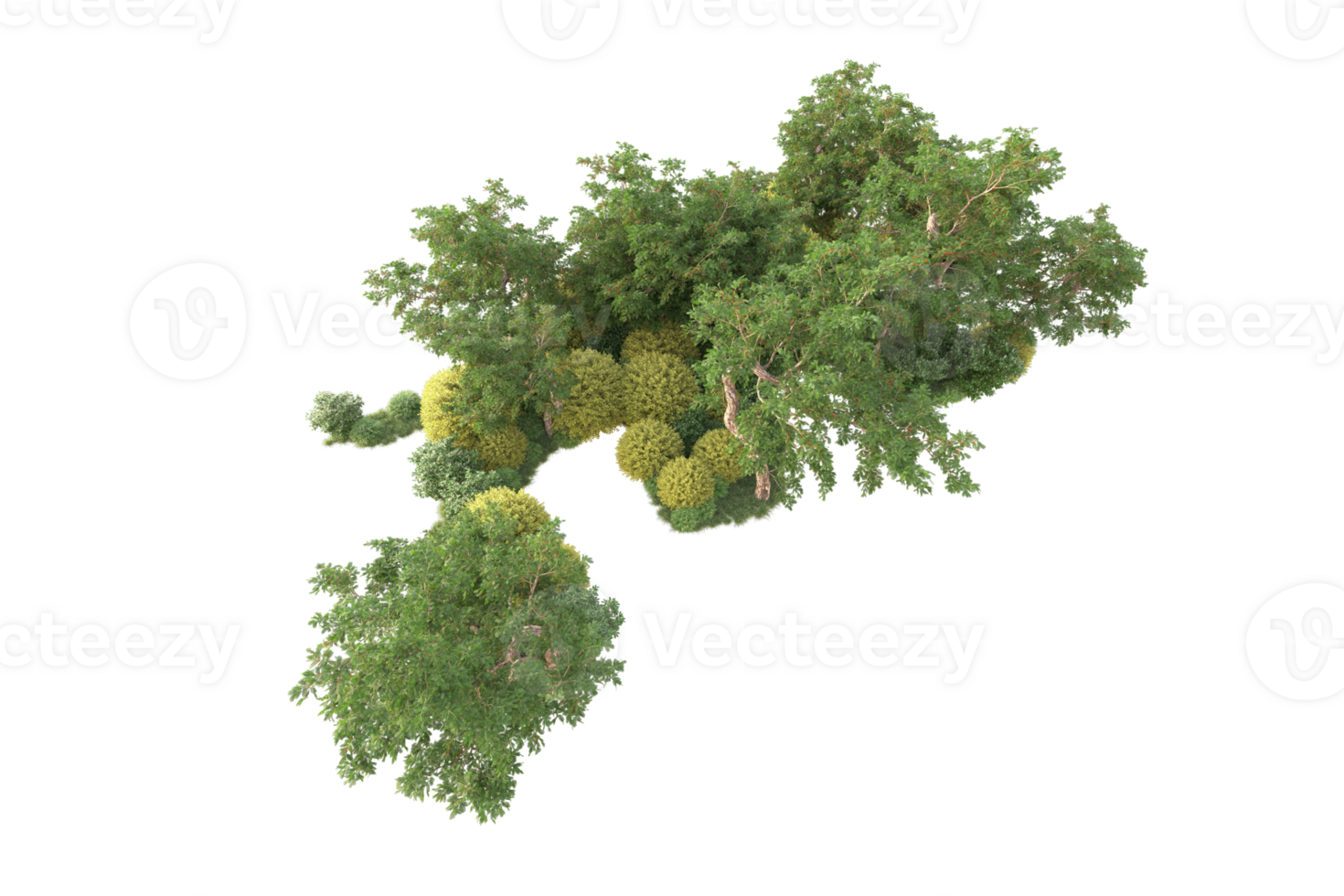 Tropical forest isolated on transparent background. 3d rendering - illustration png
