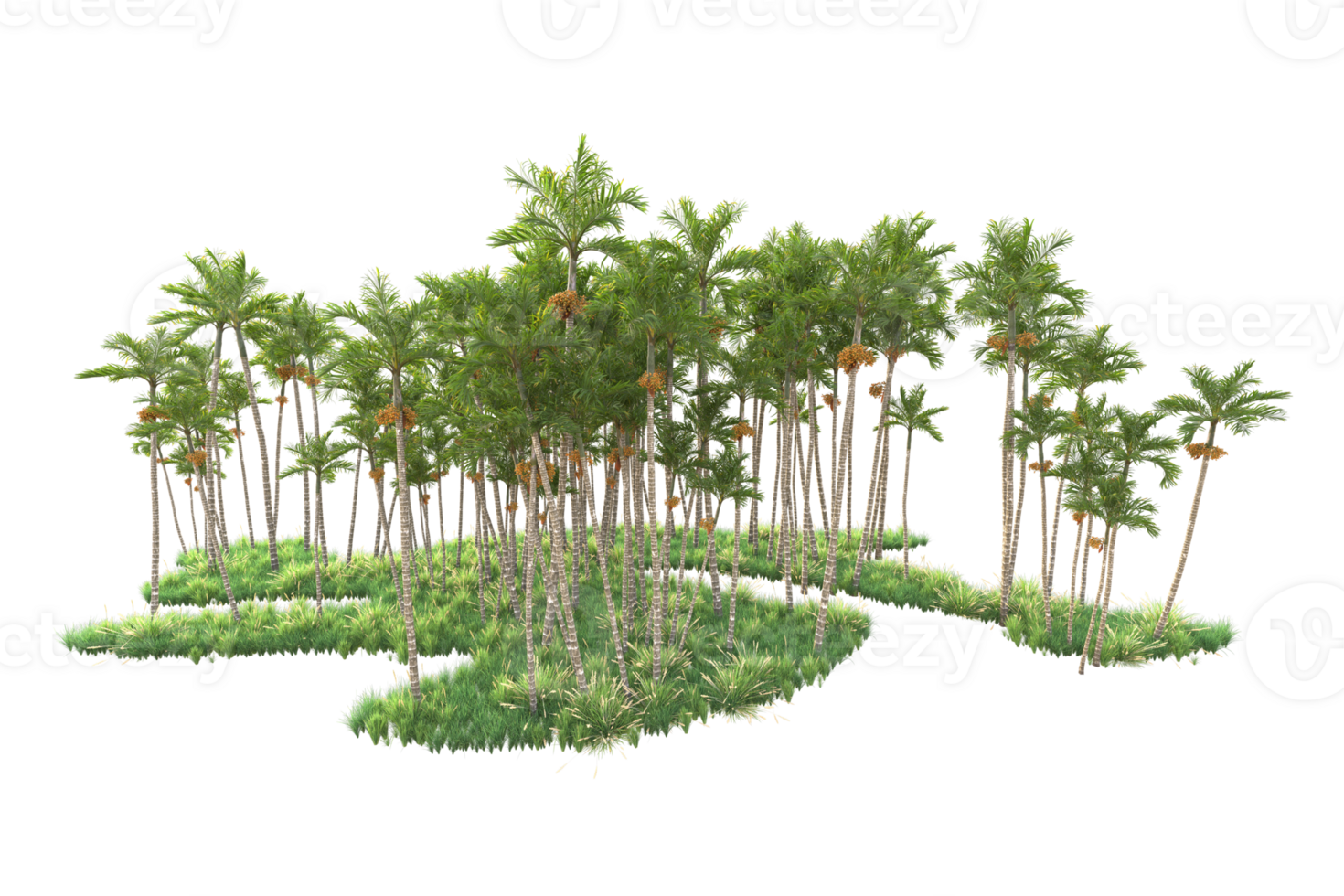 Tropical forest isolated on transparent background. 3d rendering - illustration png