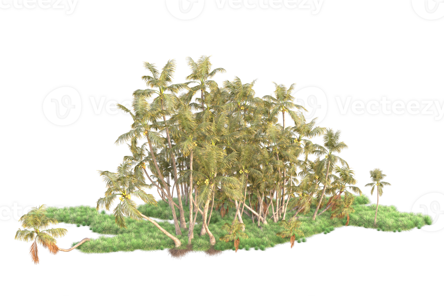 Tropical forest isolated on transparent background. 3d rendering - illustration png
