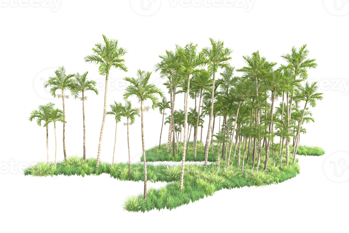 Tropical forest isolated on transparent background. 3d rendering - illustration png
