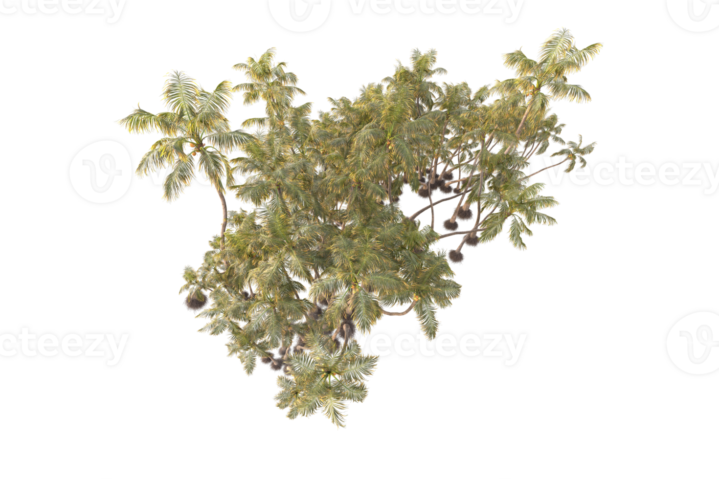 Tropical forest isolated on transparent background. 3d rendering - illustration png