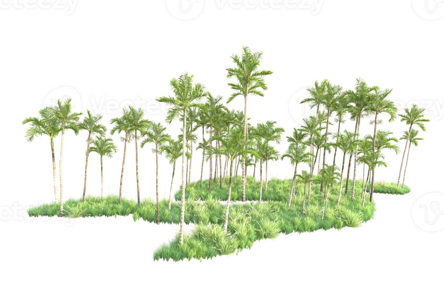 Tropical forest isolated on transparent background. 3d rendering - illustration png