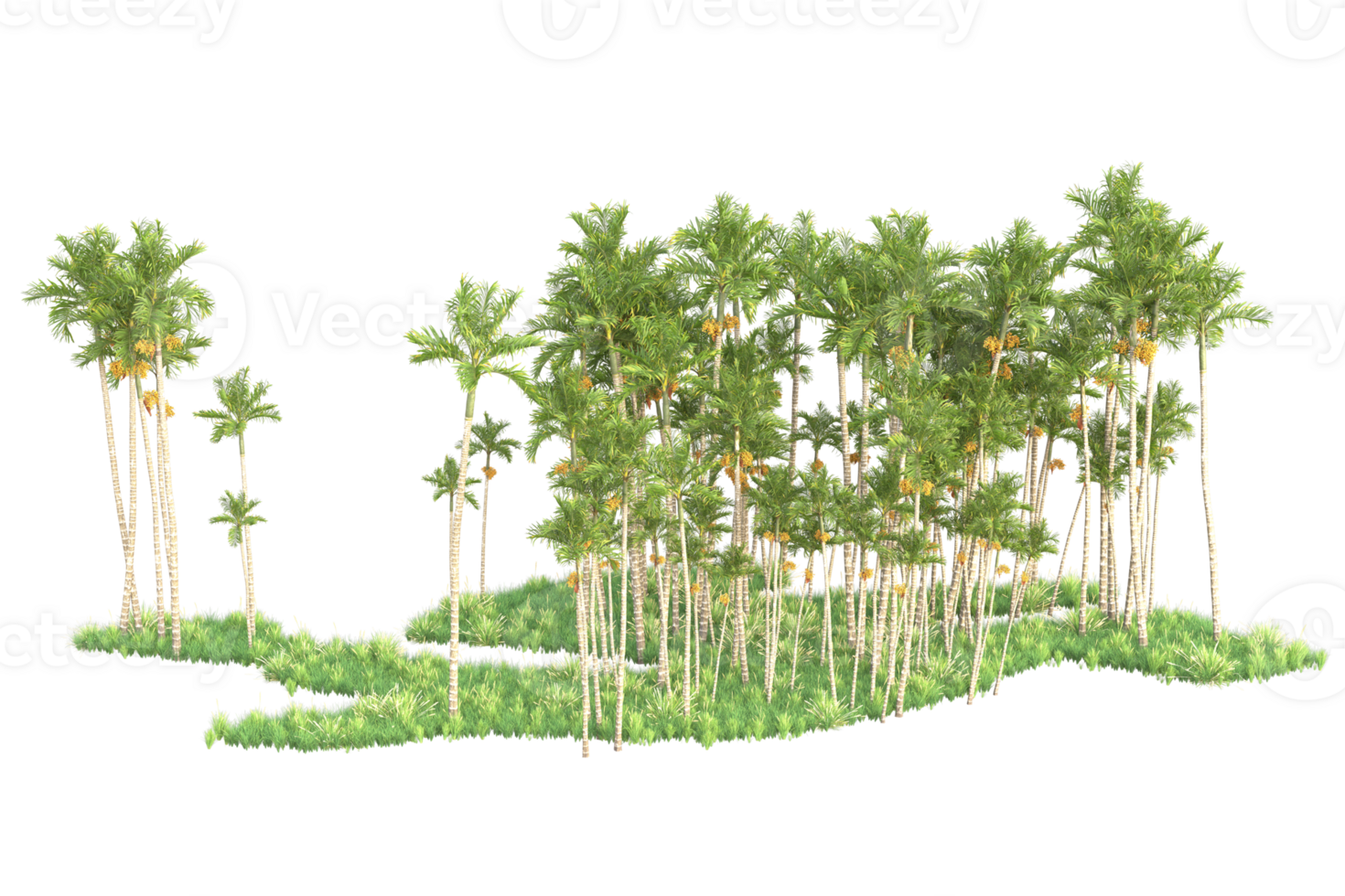 Tropical forest isolated on transparent background. 3d rendering - illustration png