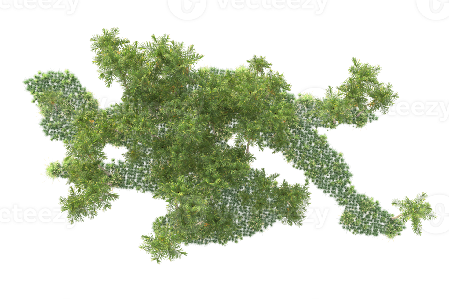 Tropical forest isolated on transparent background. 3d rendering - illustration png