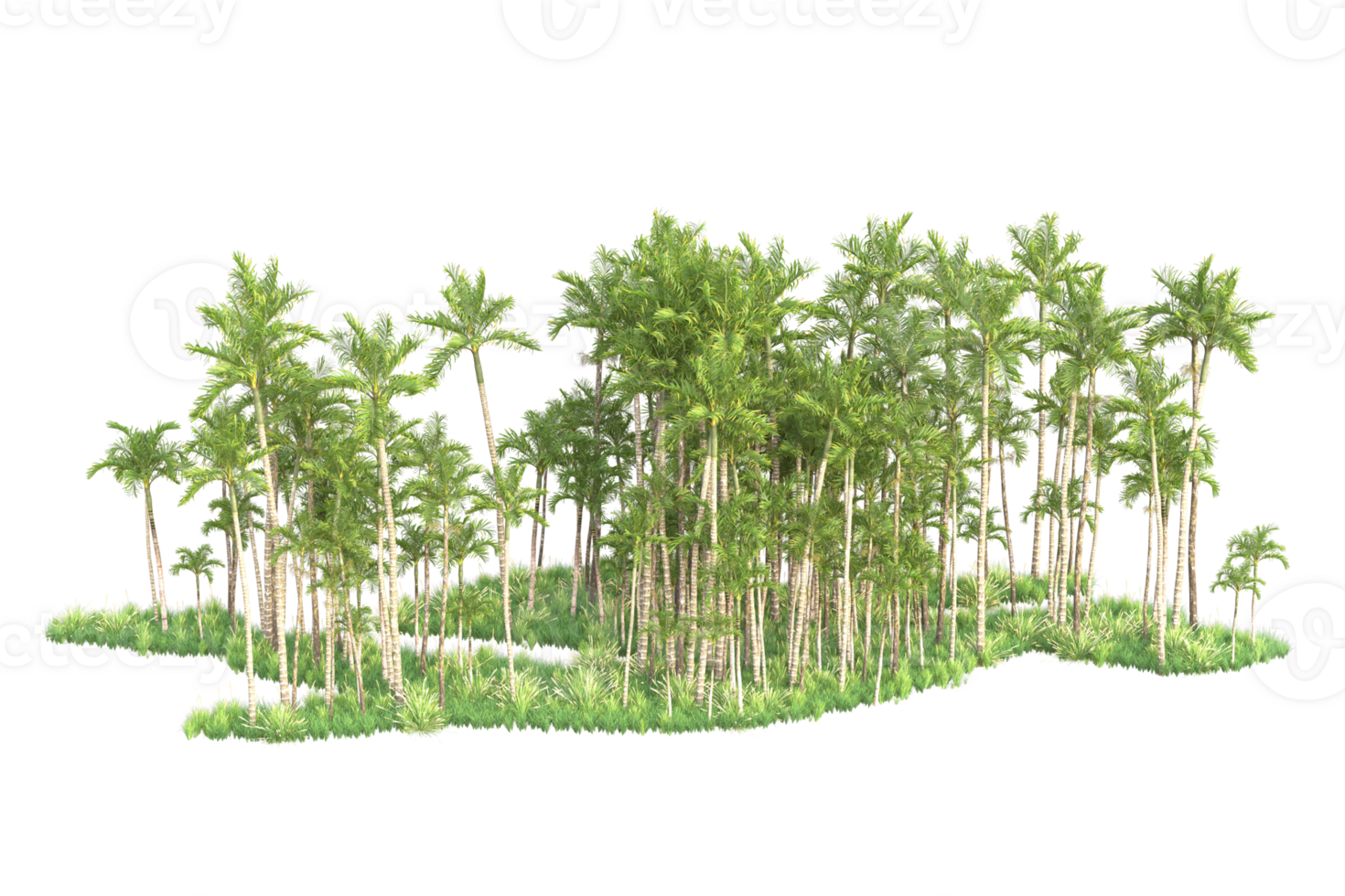 Tropical forest isolated on transparent background. 3d rendering - illustration png