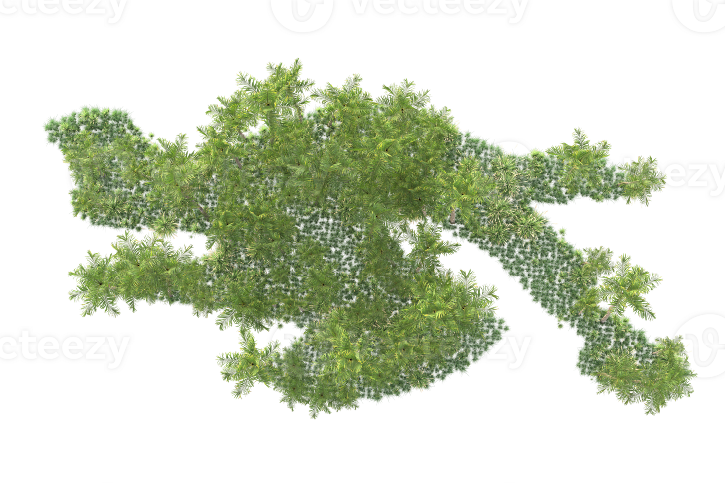 Tropical forest isolated on transparent background. 3d rendering - illustration png