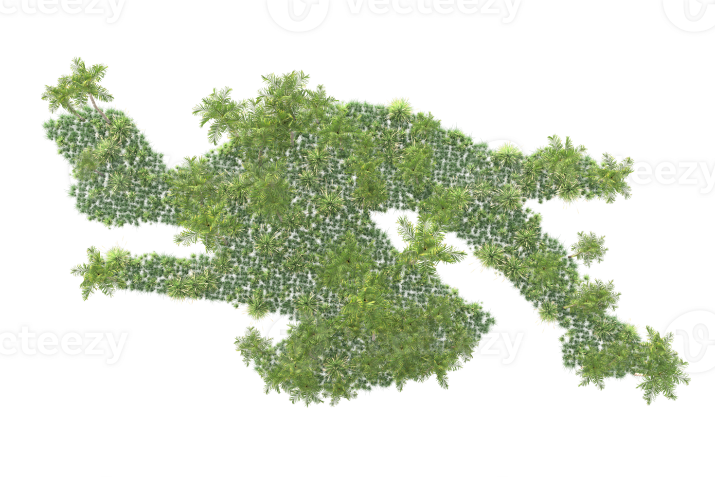 Tropical forest isolated on transparent background. 3d rendering - illustration png