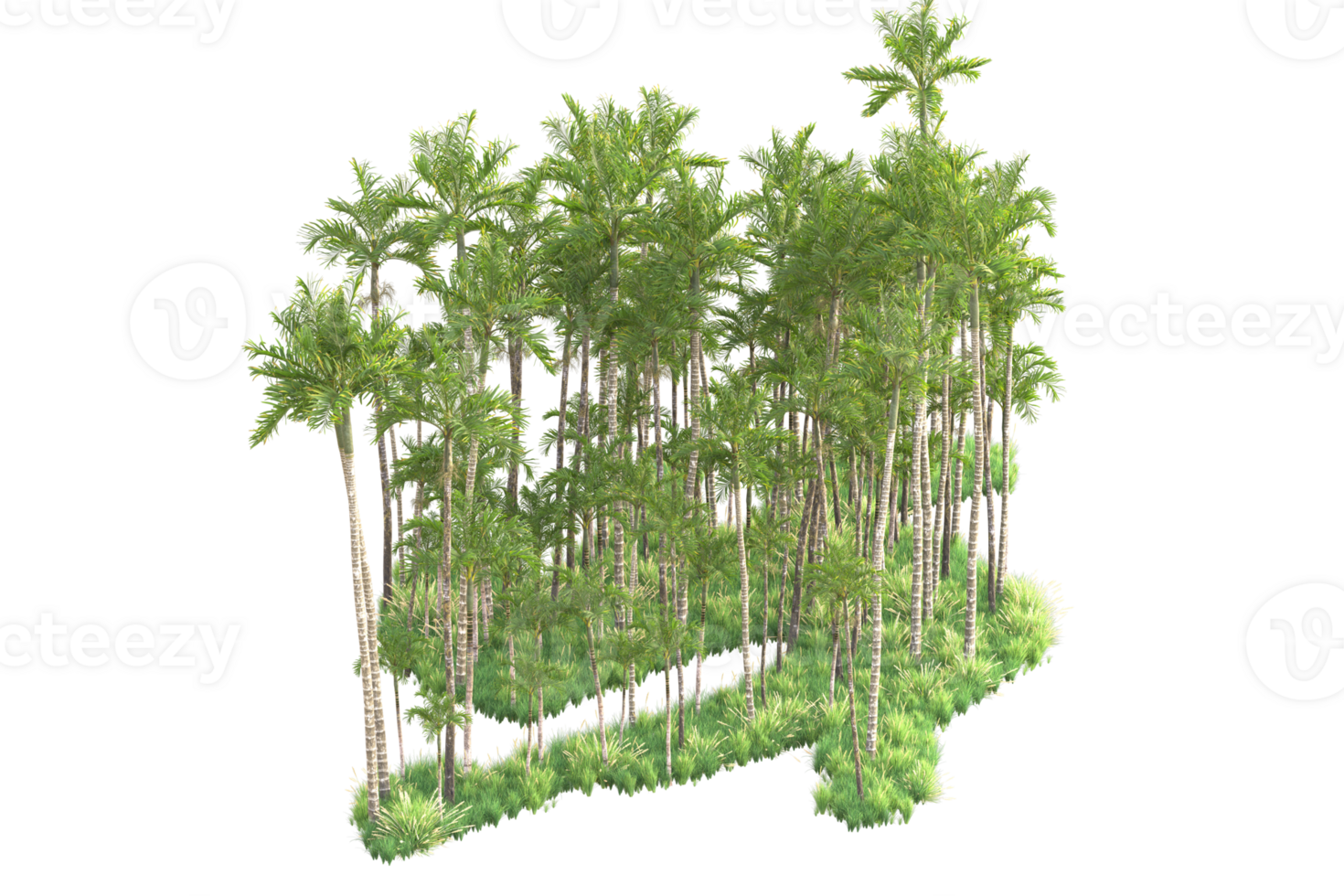 Tropical forest isolated on transparent background. 3d rendering - illustration png