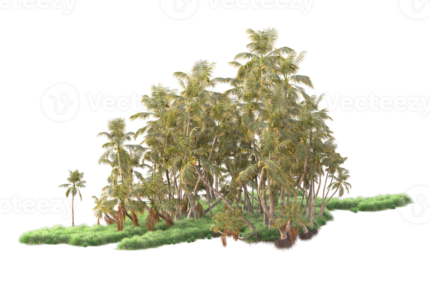 Tropical forest isolated on transparent background. 3d rendering - illustration png