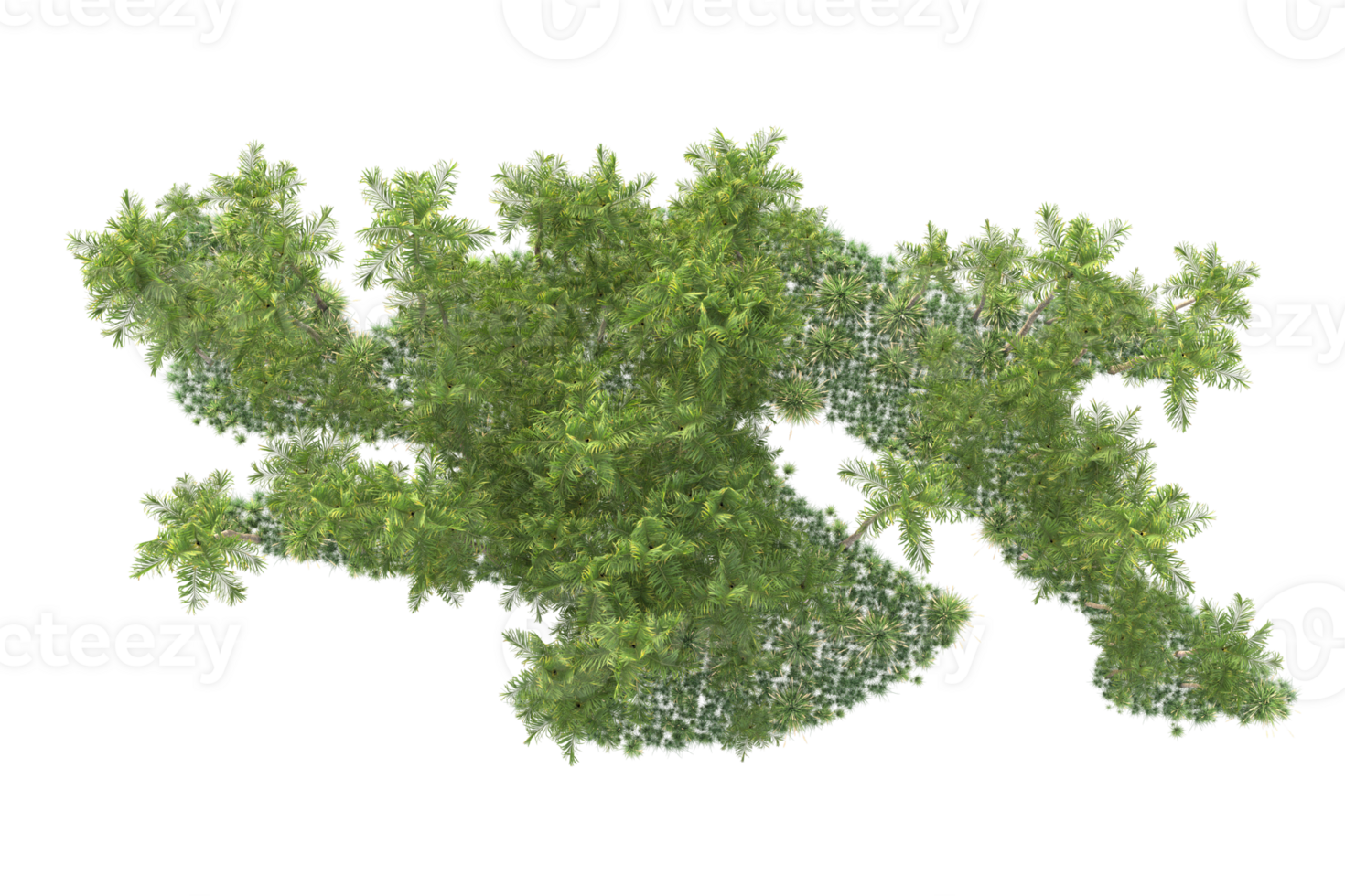 Tropical forest isolated on transparent background. 3d rendering - illustration png