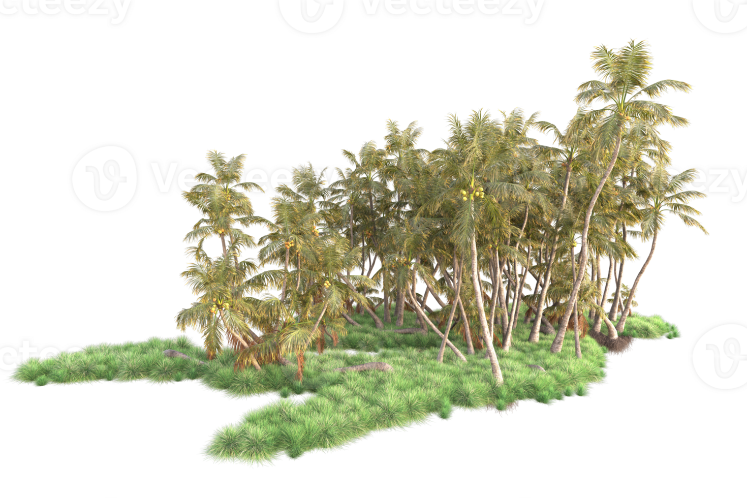 Tropical forest isolated on transparent background. 3d rendering - illustration png