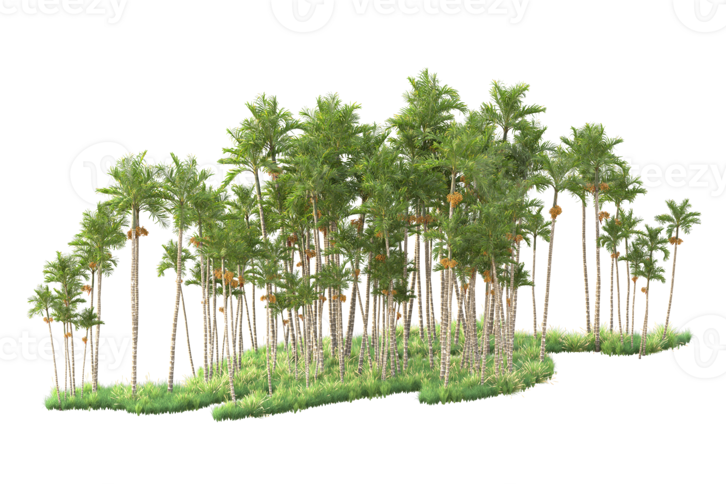 Tropical forest isolated on transparent background. 3d rendering - illustration png