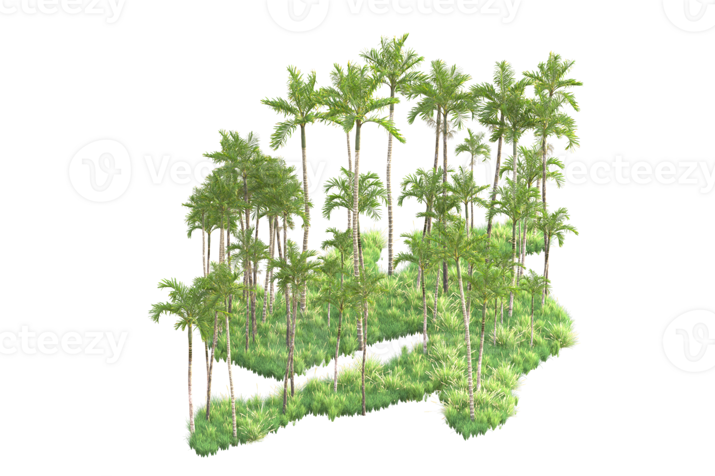 Tropical forest isolated on transparent background. 3d rendering - illustration png