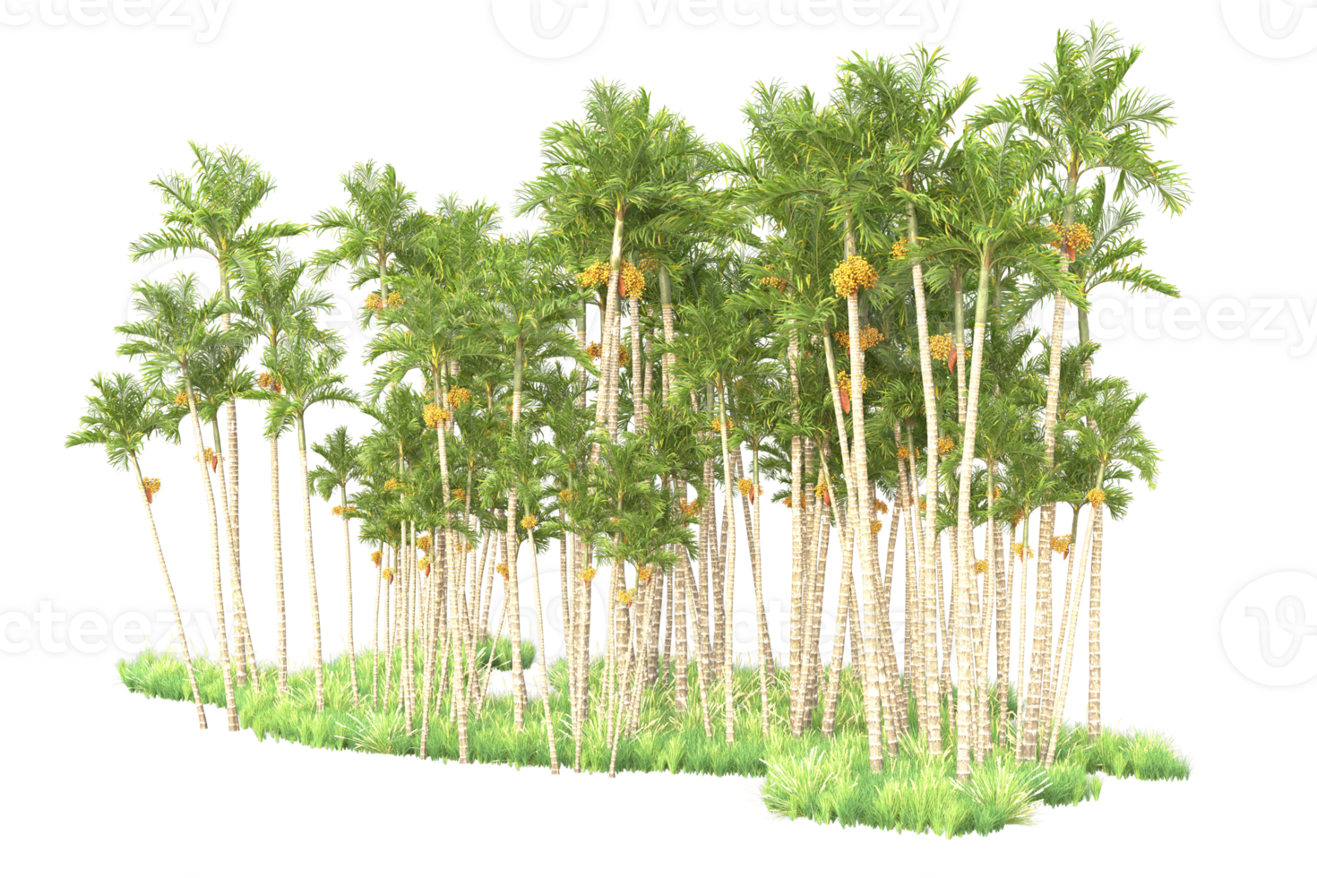 Tropical forest isolated on transparent background. 3d rendering - illustration png