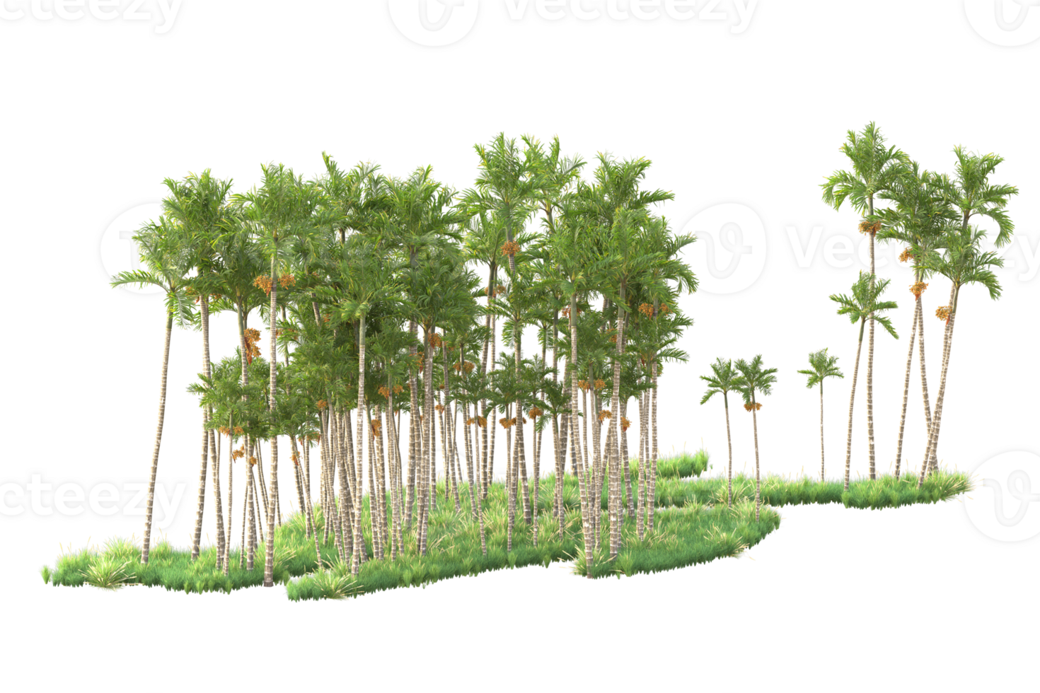 Tropical forest isolated on transparent background. 3d rendering - illustration png