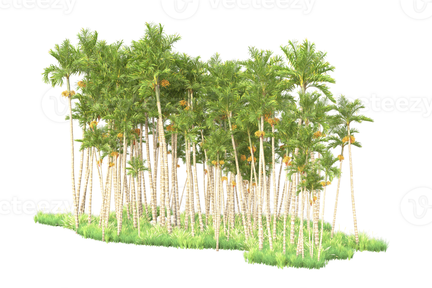 Tropical forest isolated on transparent background. 3d rendering - illustration png