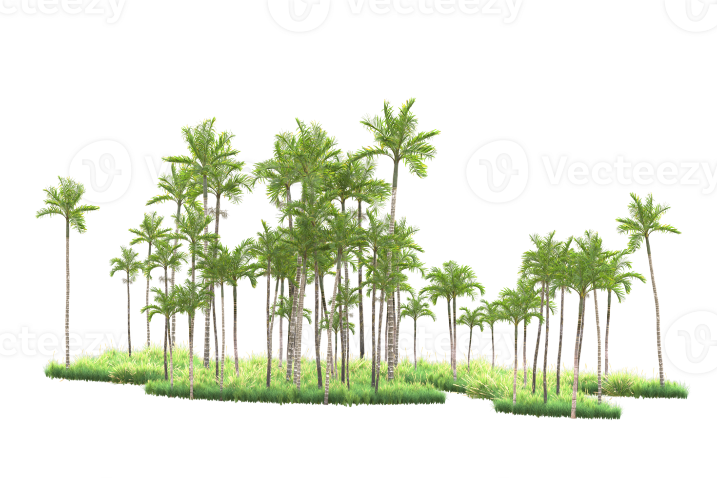 Tropical forest isolated on transparent background. 3d rendering - illustration png