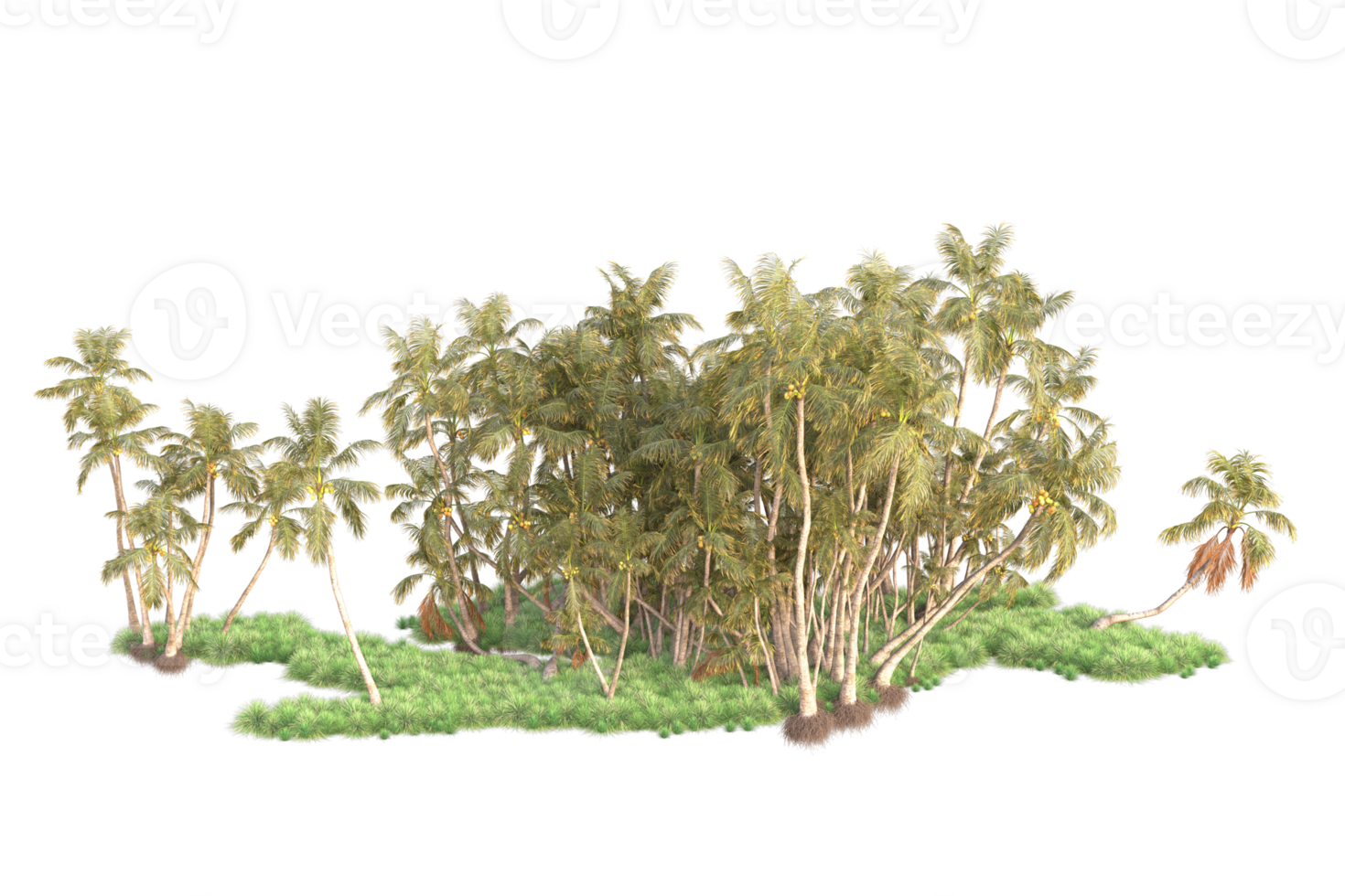 Tropical forest isolated on transparent background. 3d rendering - illustration png
