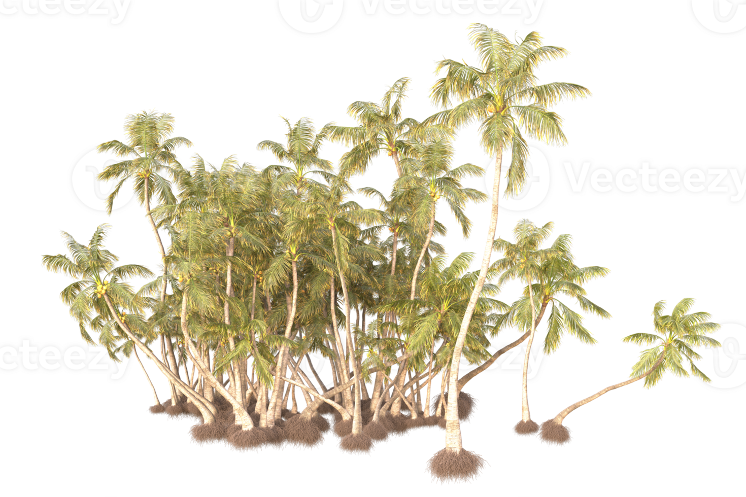 Tropical forest isolated on transparent background. 3d rendering - illustration png