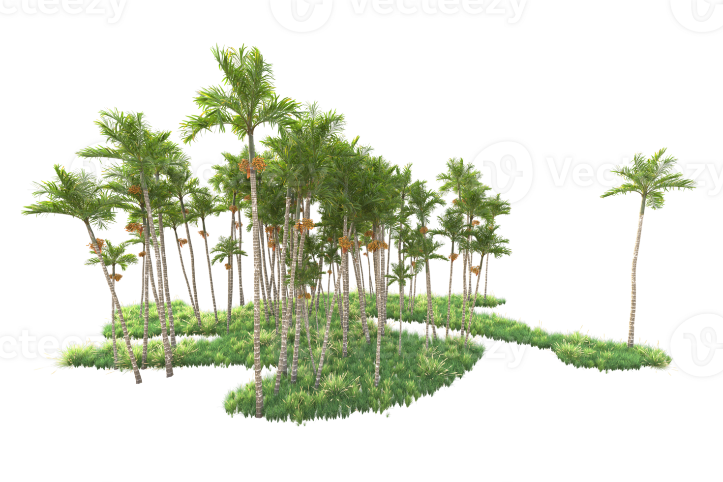 Tropical forest isolated on transparent background. 3d rendering - illustration png