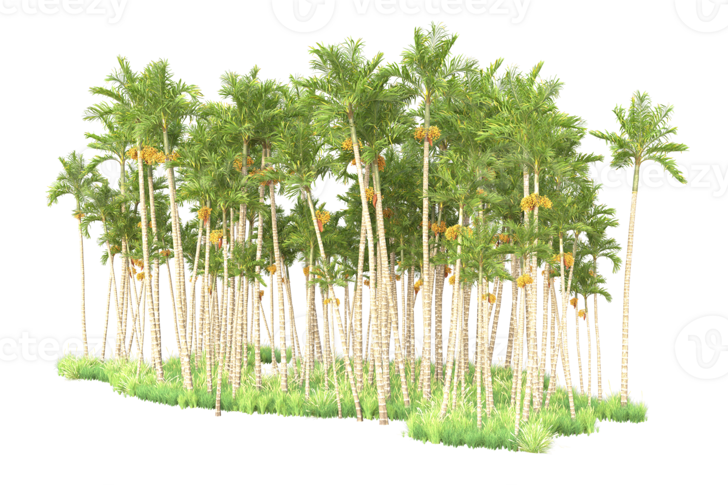 Tropical forest isolated on transparent background. 3d rendering - illustration png