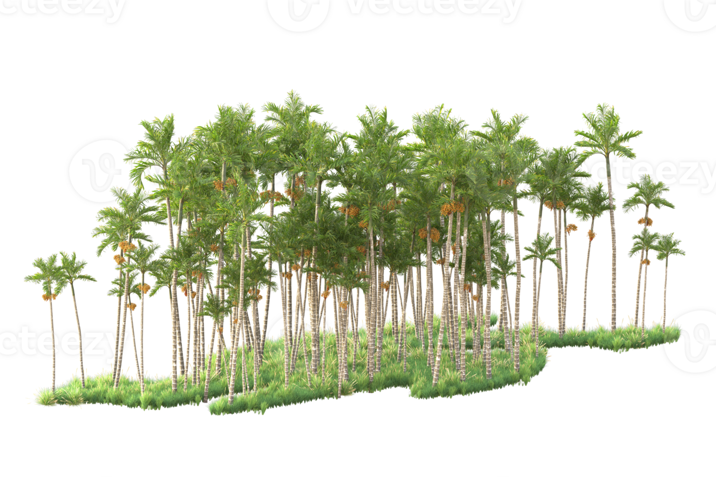 Tropical forest isolated on transparent background. 3d rendering - illustration png