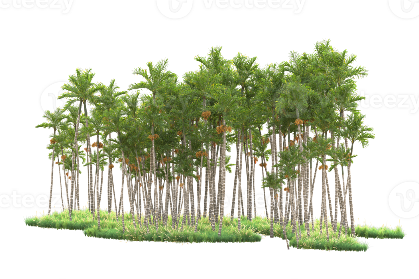 Tropical forest isolated on transparent background. 3d rendering - illustration png