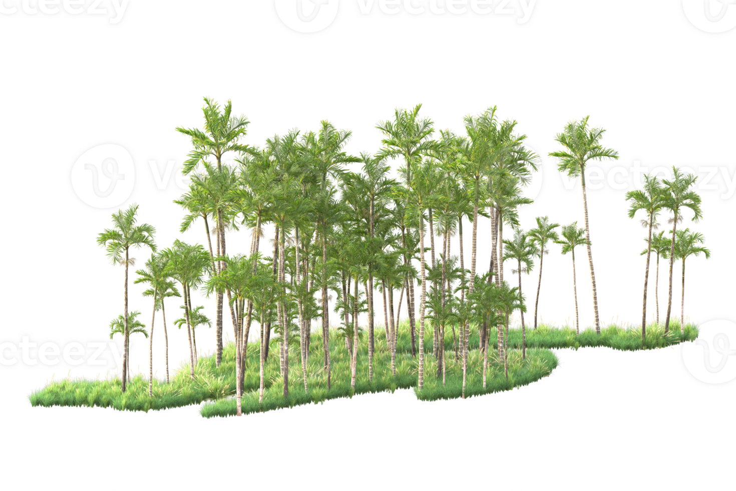 Tropical forest isolated on transparent background. 3d rendering - illustration png