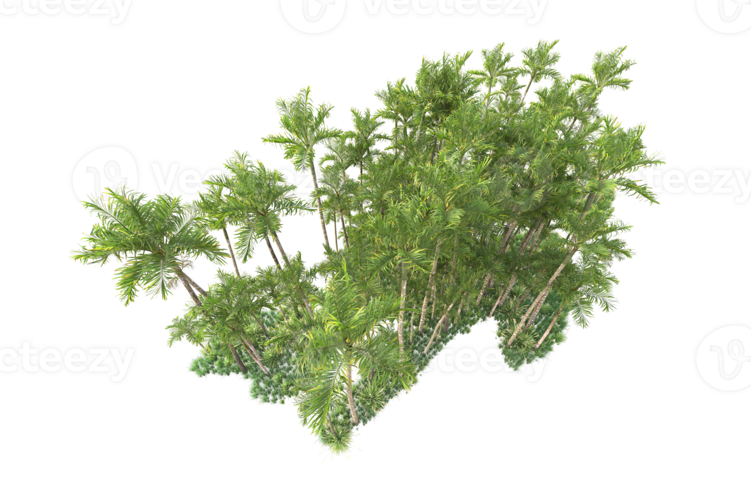Tropical forest isolated on transparent background. 3d rendering - illustration png