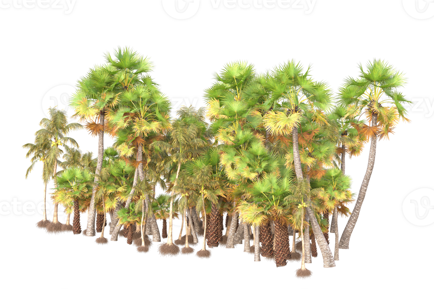 Tropical forest isolated on transparent background. 3d rendering - illustration png