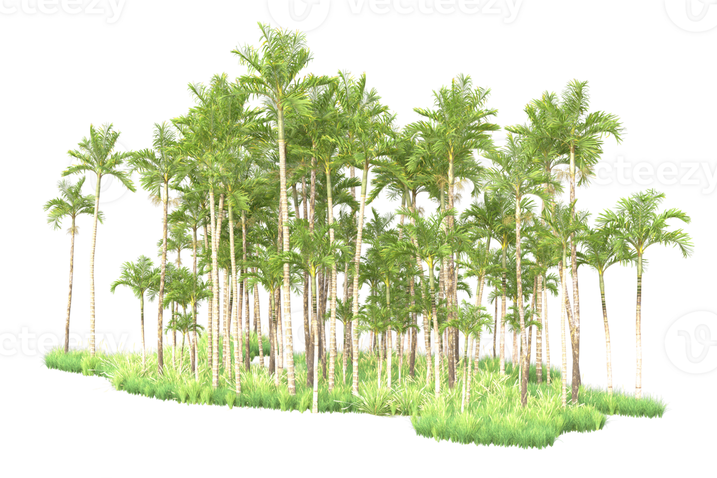Tropical forest isolated on transparent background. 3d rendering - illustration png