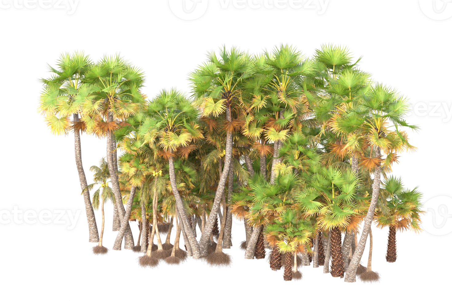 Tropical forest isolated on transparent background. 3d rendering - illustration png