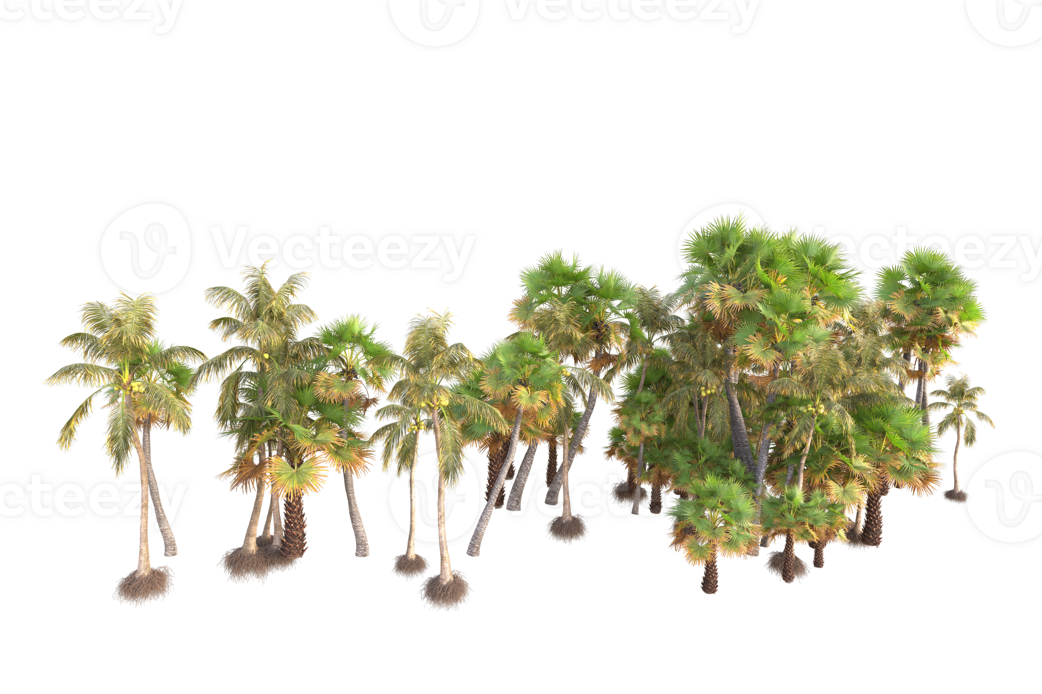 Tropical forest isolated on transparent background. 3d rendering - illustration png