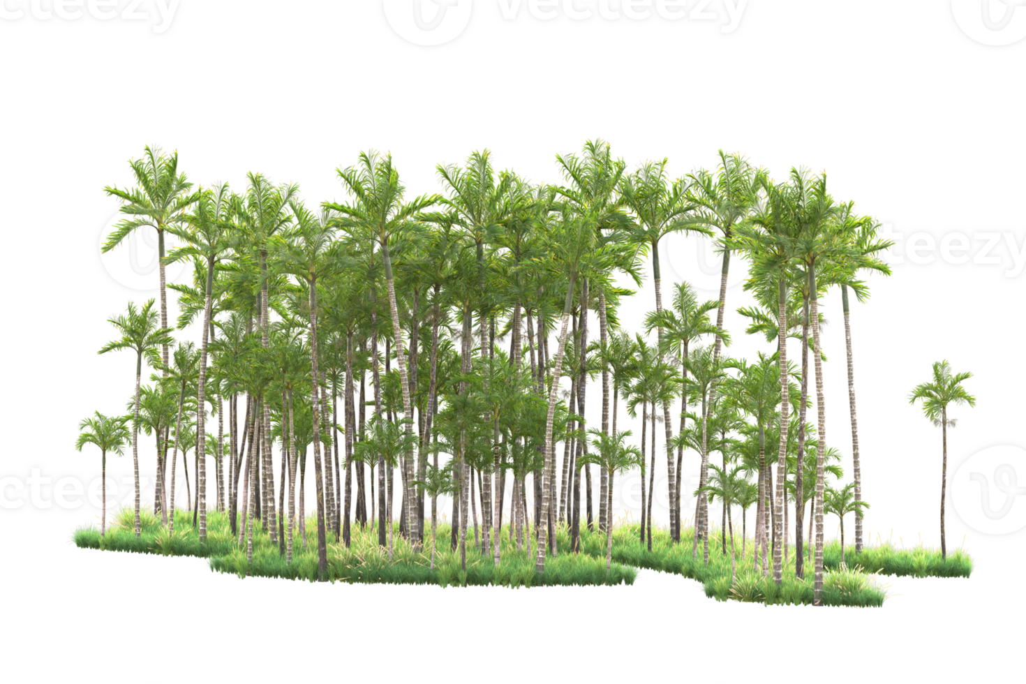 Tropical forest isolated on transparent background. 3d rendering - illustration png